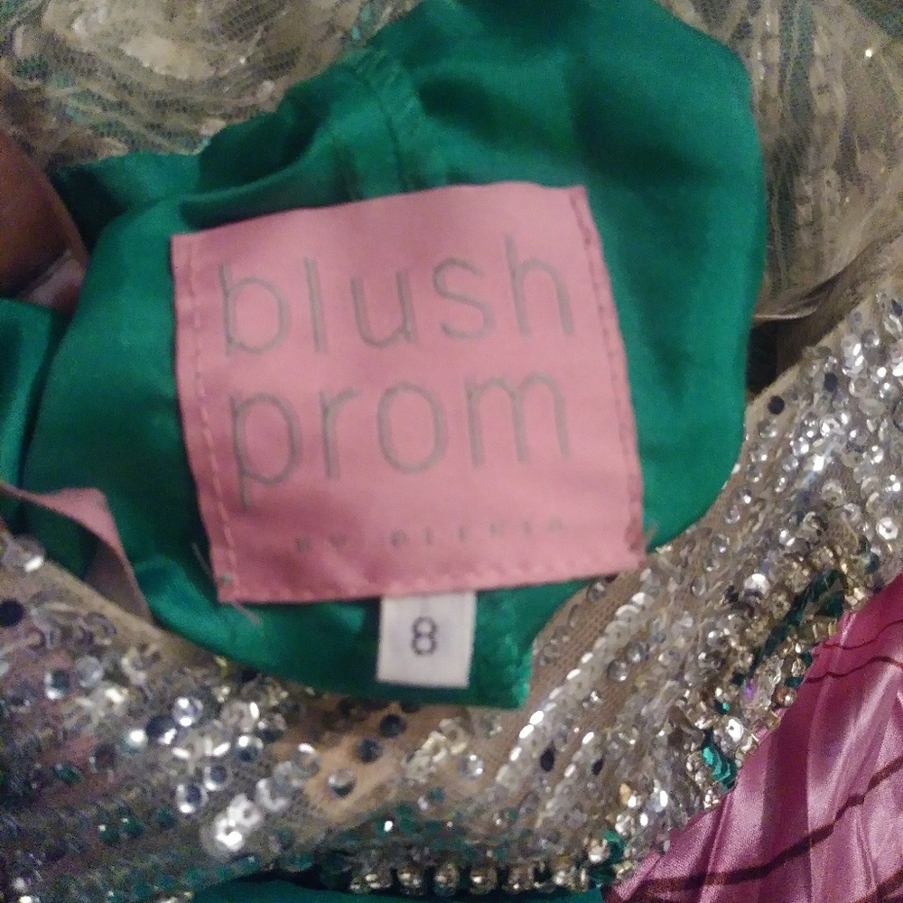 Prom Dress - Picture 5 of 6